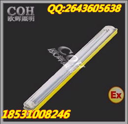 BCX6225粉塵防爆防腐熒光燈產品詳情 鎮流器特性與應用
